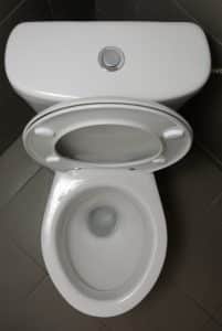 Toilet Repair Loveland CO